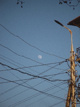 Златкина_Ксения_2 — копия